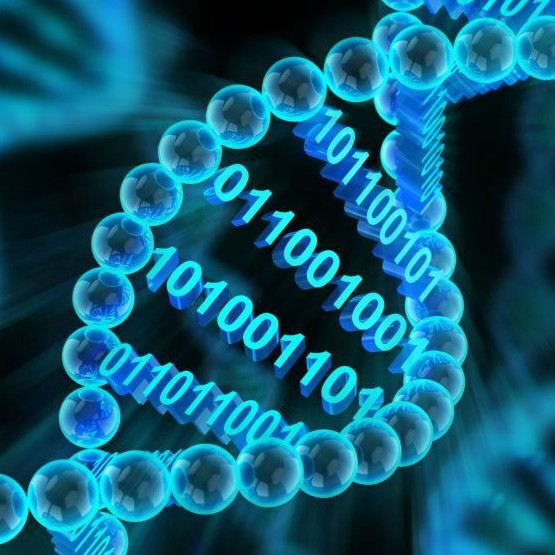 Guia de Bioinformática e Biologia Computacional